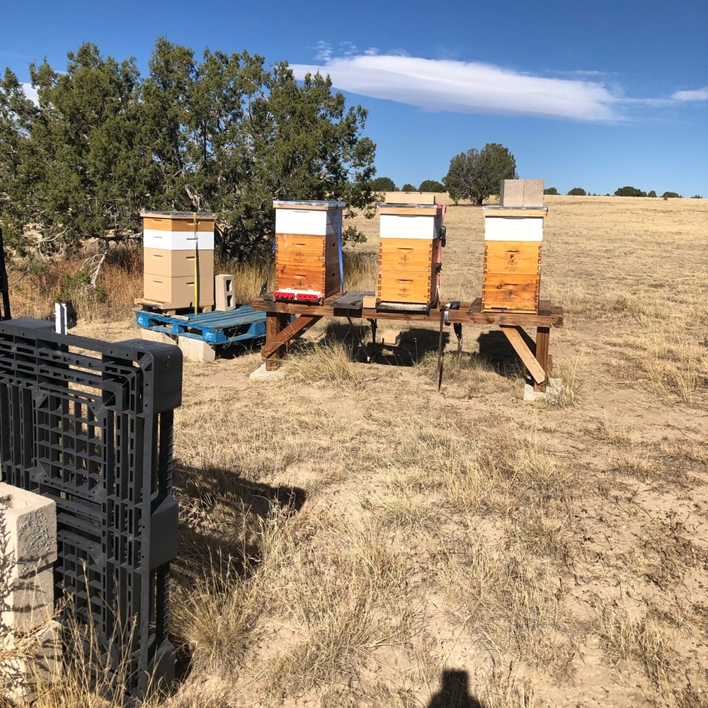 Hand Crafted Beeswax Body balm - Picture 7 of 11